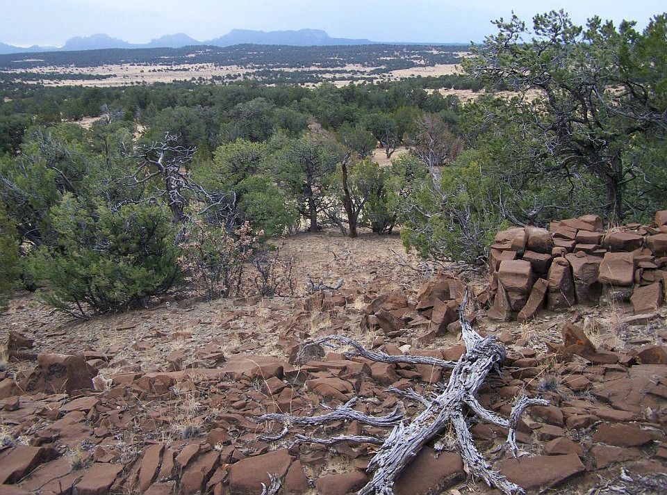 1st image of Ponderosa Vws
