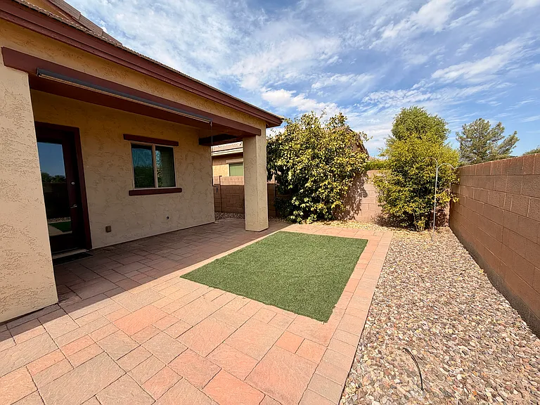 Backyard1