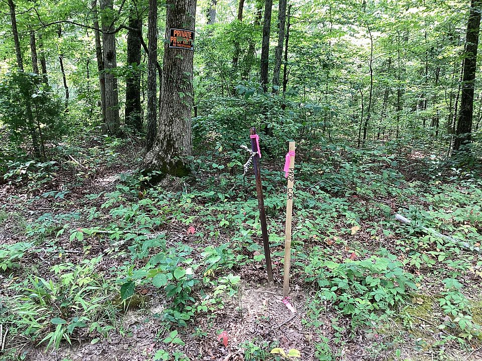 2nd image of 0 Old Natchez Trace Pkwy #4 & 3