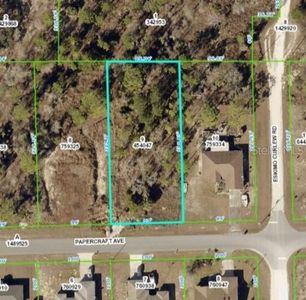 Papercraft Avenue Lot #9, Brooksville, FL, 34614