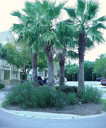 5th image of 136 Shore Bird Dr Unit 722