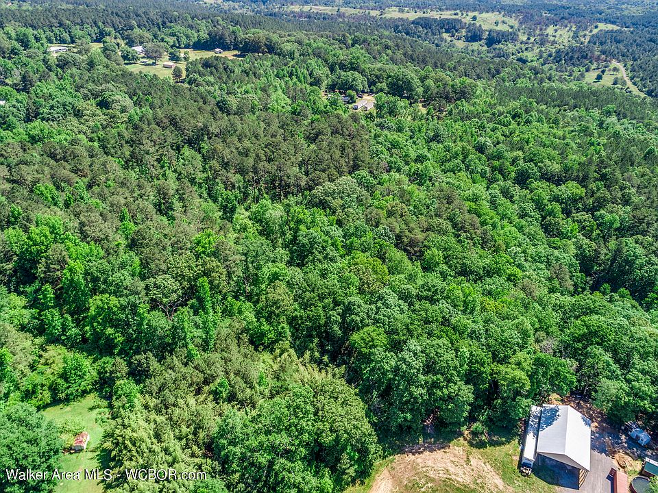 1610 Hull Rd, Sumiton, AL 35148 Zillow