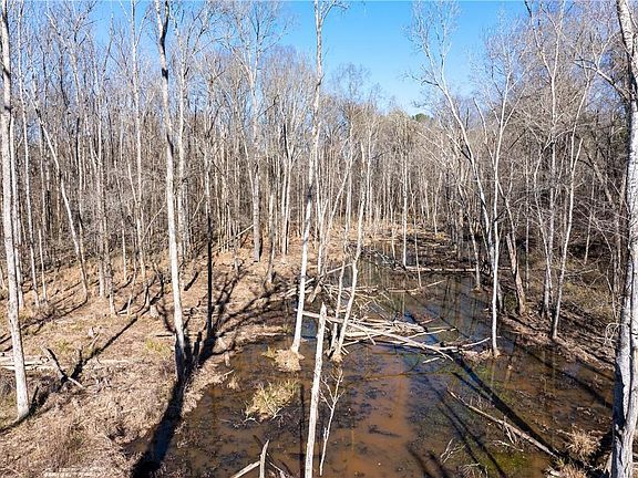 5th image of 2071 Leslie Mill Rd