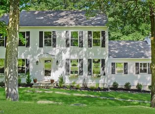 8 Joan Dr, Stanhope, NJ 07874