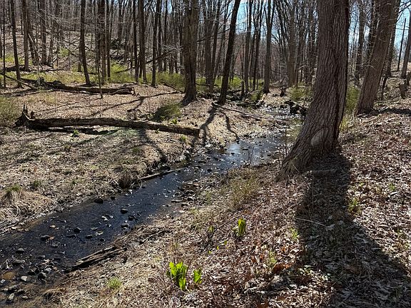 2nd image of 17 Old Bethel Road