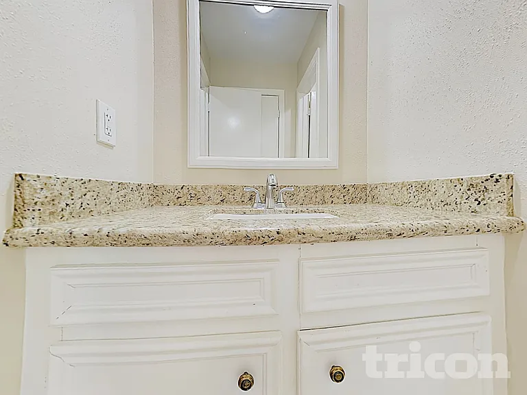 22806 Wild Moss St — Photo 16