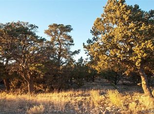 1180 Brookview Way, Crestone, CO 81131