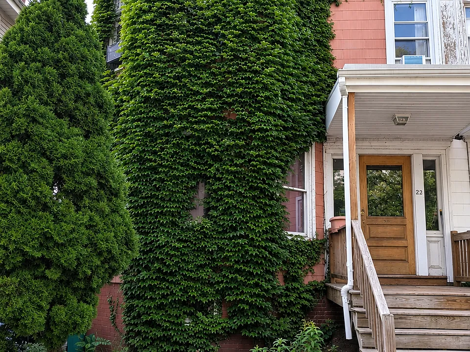 22 Stone Ave #1