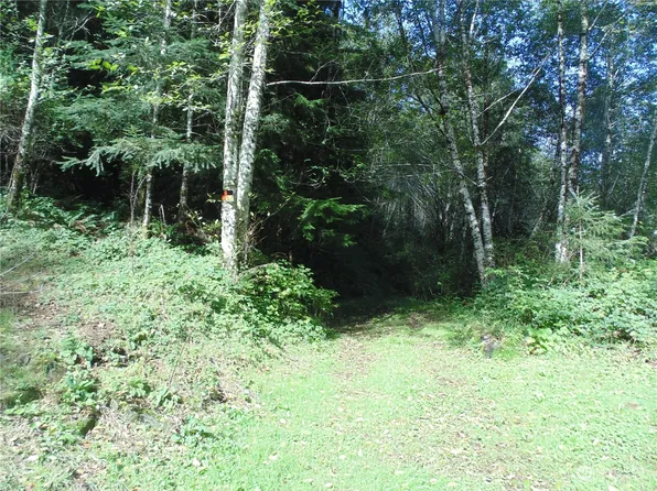 0 Panhandle Road, Hoquiam, WA 98550