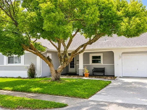 8243 Le Mesa St, Orlando, FL 32827