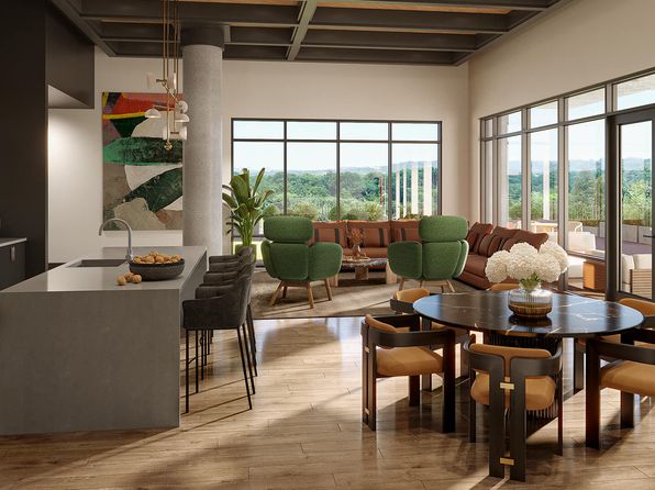 austin-texas-447645509 picture