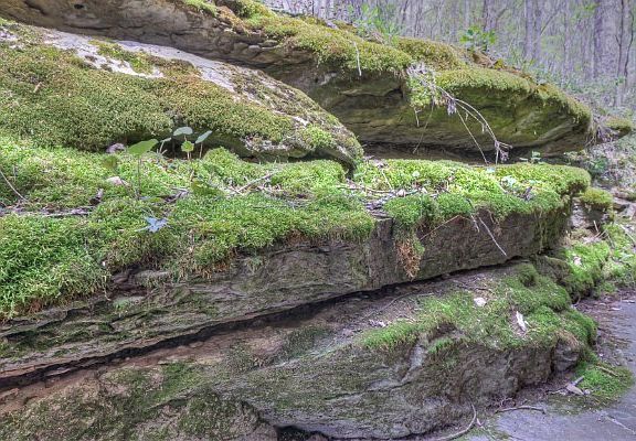 56th image of this home