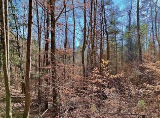 TRACT 8 Bluff Rd, Newport, TN 37821