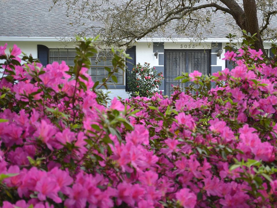 2nd image of 5053 Calle De Sol