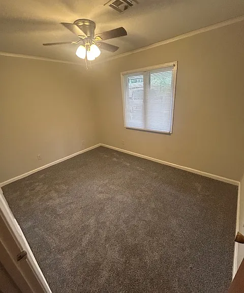431 Spring Valley Rd — Photo 10