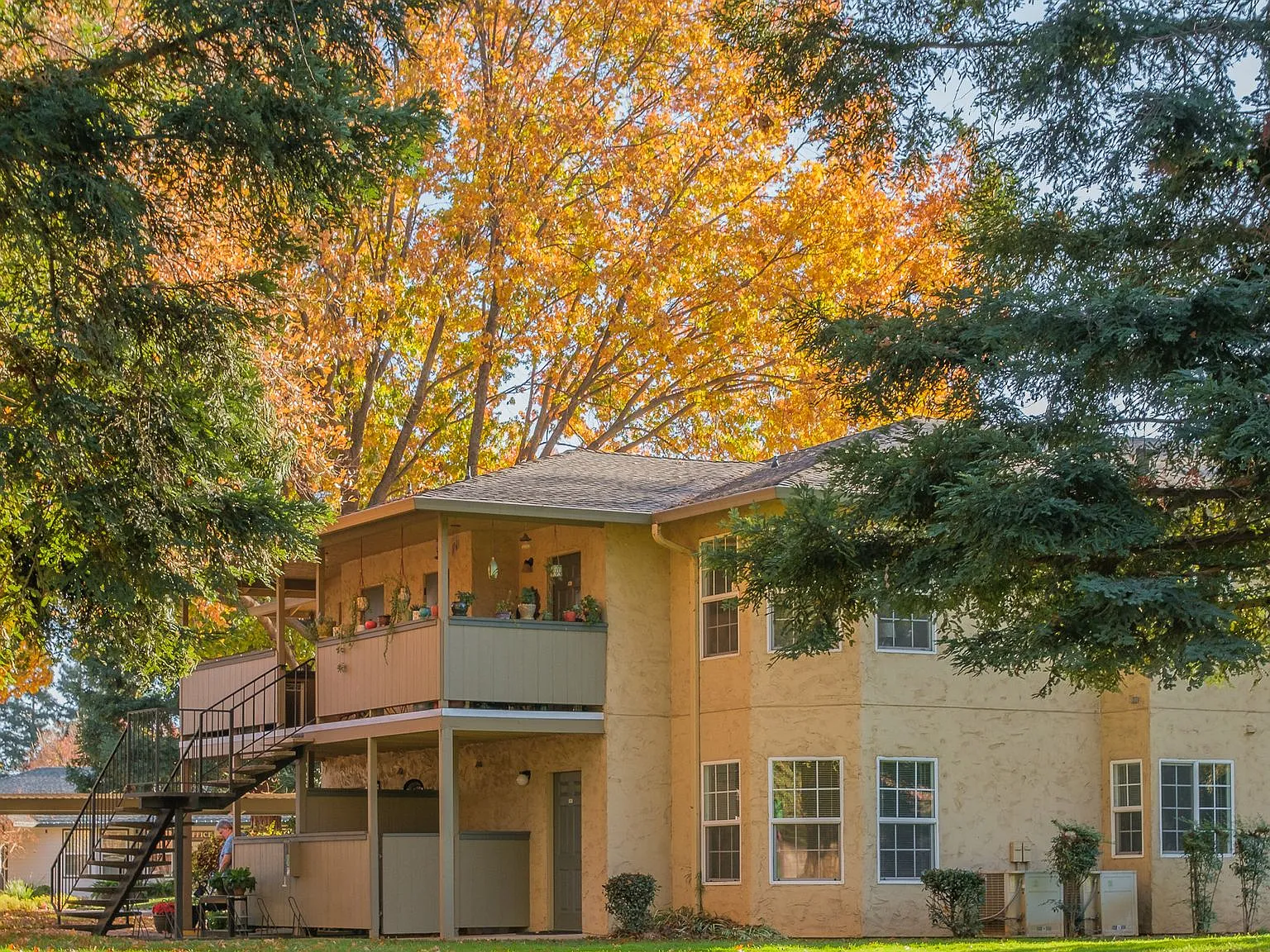 Oak Meadow Apartments — Photo 4