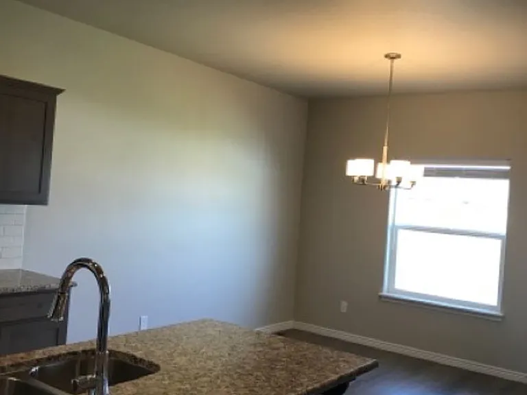 1243 Langford Way — Photo 4