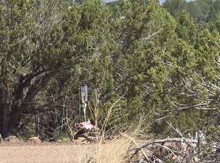 1885 Daggs Pl, Show Low, AZ 85901