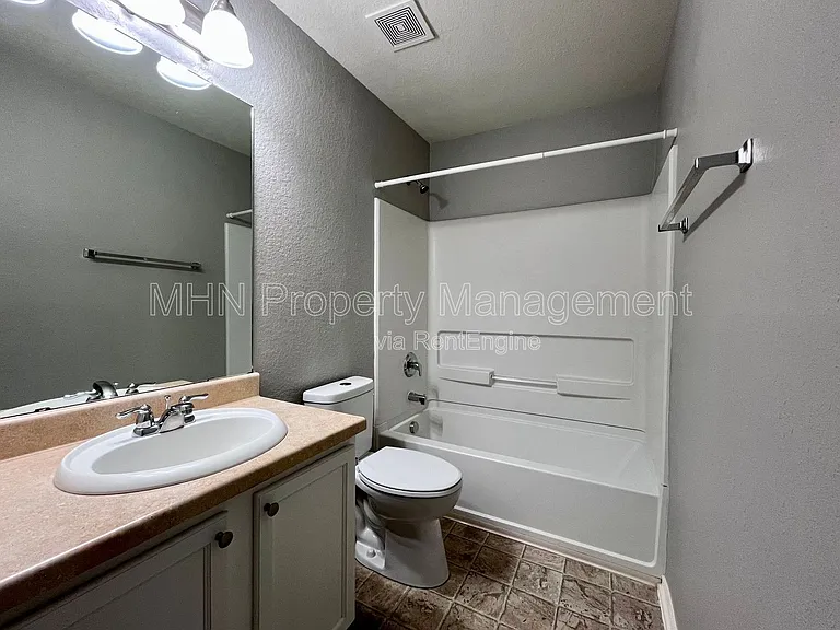 8734 Snow Goose — Photo 20