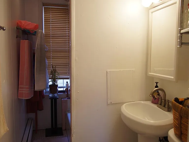 48 America St #2R — Photo 19