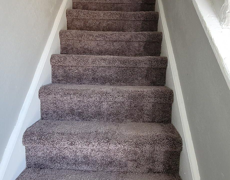 New Carpet , Fresh Paint