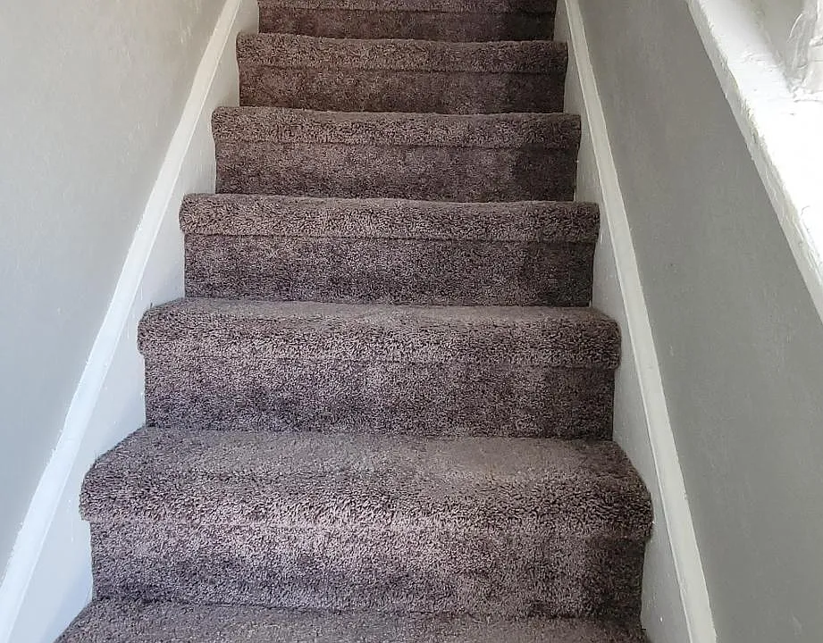 New Carpet , Fresh Paint
