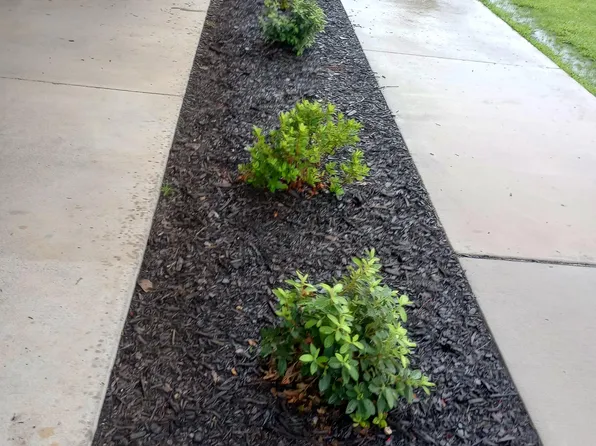 Peach Orchard Apts