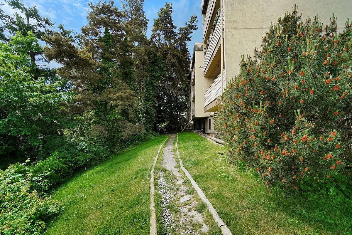 252 Gorge Rd E — Photo 3