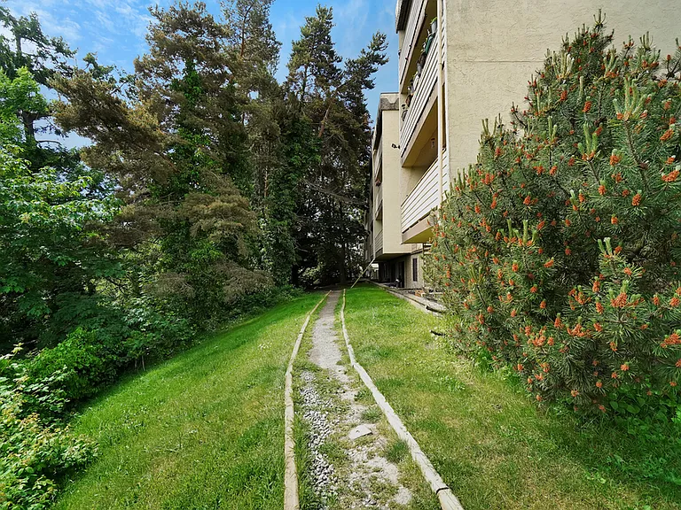 252 Gorge Rd E — Photo 3
