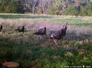 129 Possum Hollow Rd, Fayetteville, TN 37334