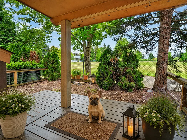 outdoor patio and backyard
