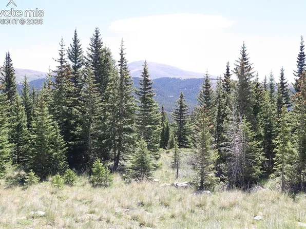 1480 Roberts Rd, Fairplay, CO 80440