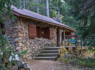 194 Forest Haven Ln, Idaho Springs, CO 80452