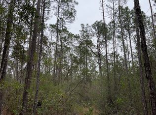 0 E Dummyline Rd, Picayune, MS 39466