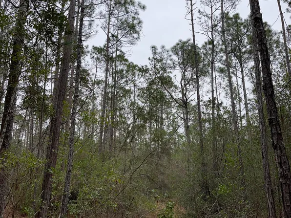 0 E Dummyline Rd, Picayune, MS 39466