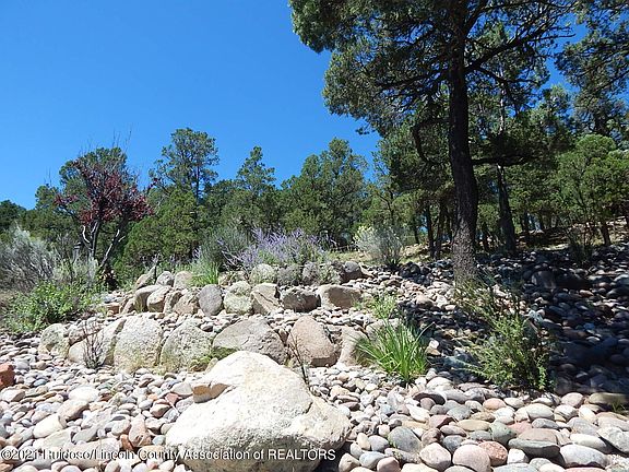 5th image of 134 Buena Vista Dr