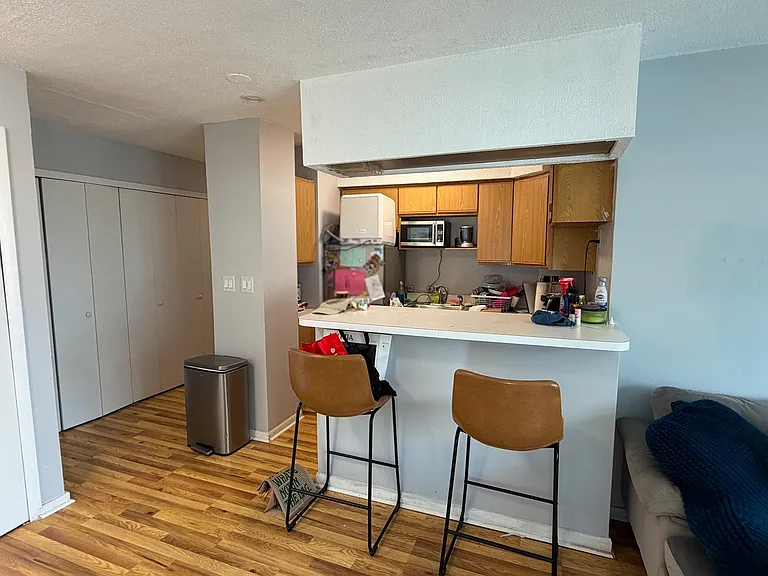 2909 N Sheridan Rd #1901 — Photo 8