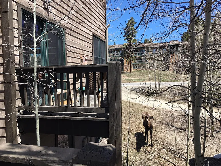 Social distancing happy hour with local wildlife from your porch.