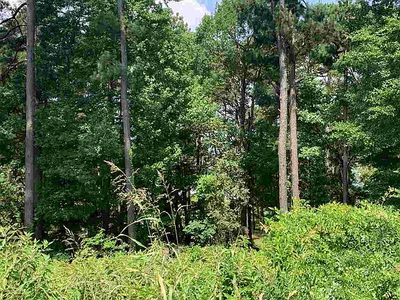 2nd image of 449 Lakeview Cir