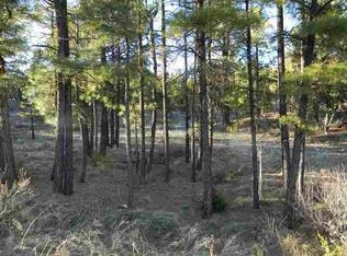 2240 Birdie Way, Overgaard, AZ 85933