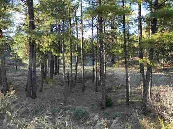 2240 Birdie Way, Overgaard, AZ 85933