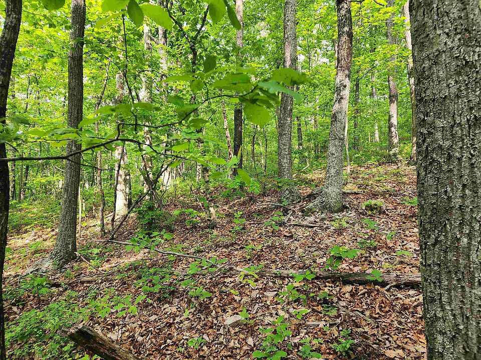 0 Fox Run Ln 21, Waynesboro, VA 22980 Zillow