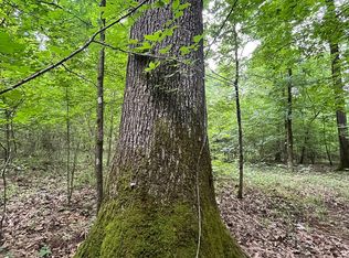 Hebron Rd, Homer, LA 71040