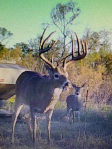 114.97 Sec #134, Childress, TX, 79201