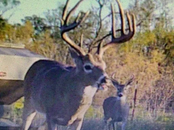 114.97 Sec #134, Childress, TX 79201