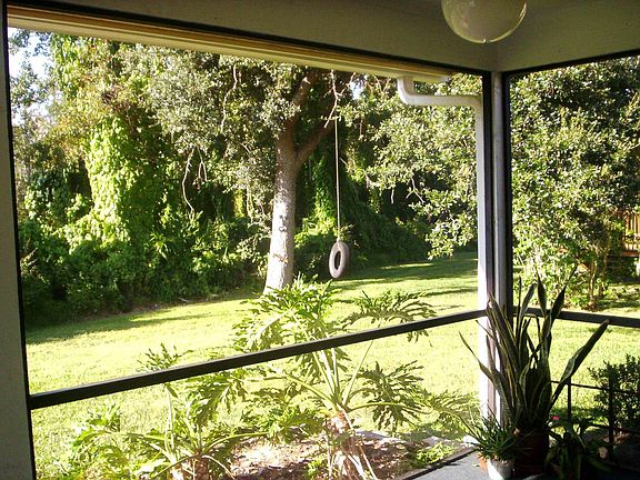 View from Screened Patio