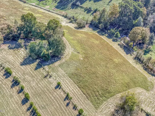 1520 Brittontown Rd, Afton, TN 37616