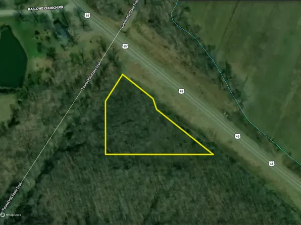 Us Highway 45 S Lot Wp001, Vienna, IL 62995