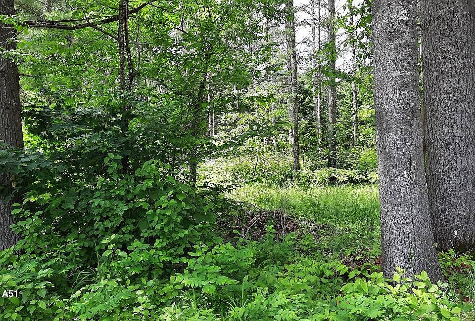 1st image of 141 Elm Lake Rd