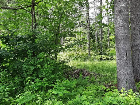 141 Elm Lake Rd, Speculator, NY 12164